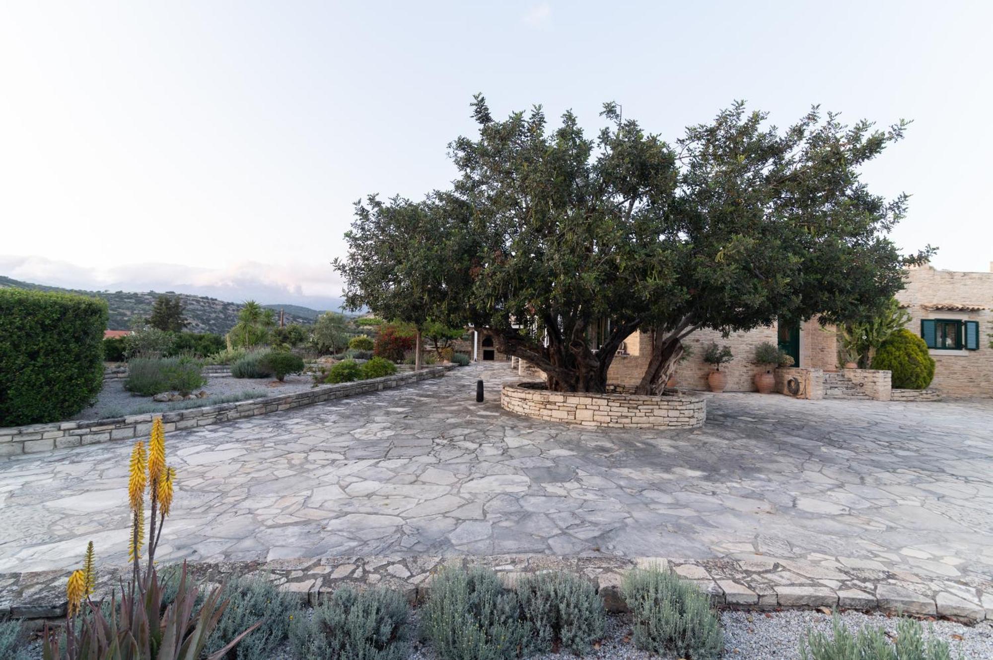 Carob Villa Moírai Exteriör bild