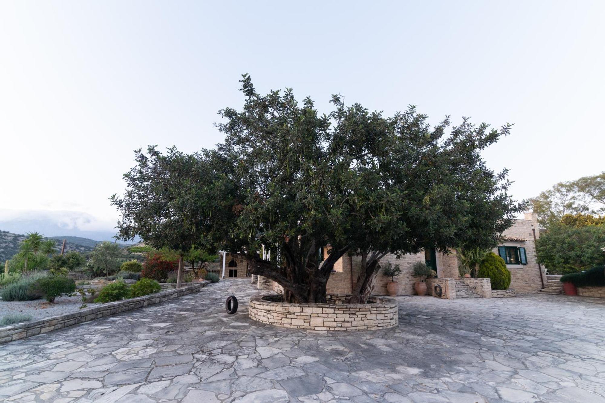 Carob Villa Moírai Exteriör bild